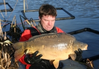 Combley Carp Fisheries, Carp Suppliers UK