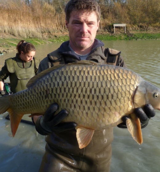 fish